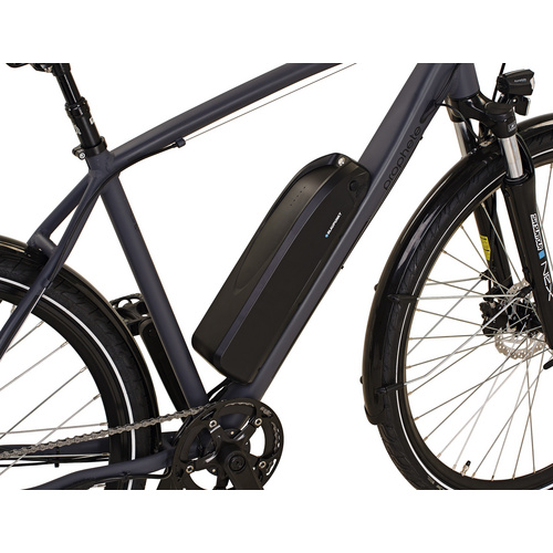 PROPHETE E-Bike »Entdecker 20.EST.10«, 28 Zoll, RH: 52 cm, 8-Gang - grau 2