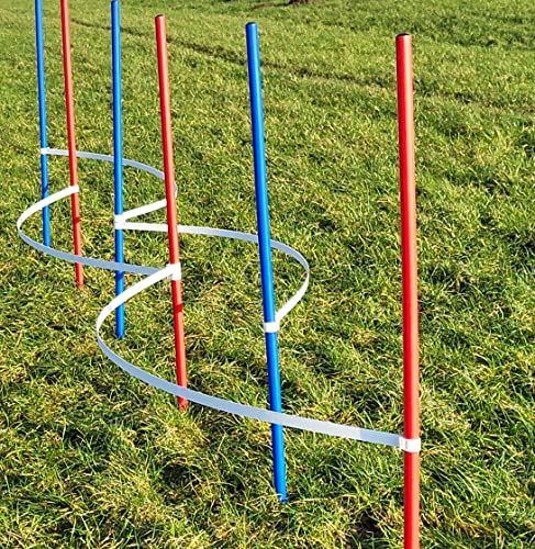 Wuzzmann Agility - Slalom - AUSBILDUNGSSET MIT 4 SLALOMBÖGEN/TRAININGSBÖGEN + 6 SLALOMSTANGEN ROT/BLAU