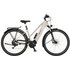 FISCHER FAHRRAD E-Bike, E-Trekkingbike, Reifen: 28", Max. Geschwindigkeit: 25 km/h - grau