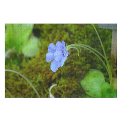 Blue Purple Flowers, Petals，für Familie Freunde Dekorativ，1000 StüCk，，Lernspielzeug FüR Kinder 70x50Papier