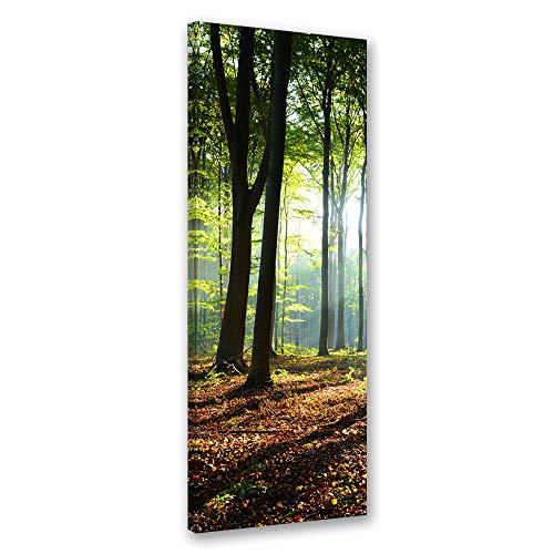 Wanddeko Herbst Leinwandbild Kunstdruck Wald Braun 40x100 cm