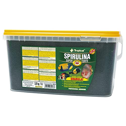 Tropical Super Spirulina Forte Granulatfutter mit 36% Spirulina (Platensis) Anteil, 1er Pack (1 x 5 l)