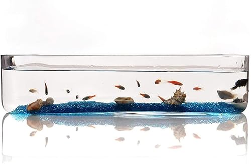 HEIMP Fischschalen Persönlichkeit Kreatives Glas Rechteckiges Aquarium Aquarium Wohnzimmer Büro Desktop Aquarium Dekoration Fische & Aquarien Fischtank (Size : Small)