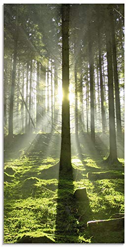 Artland Qualitätsbilder I Glasbilder Deko Wandbilder Bilder 120 x 70 cm mehrteilig Landschaften Wald Foto Grün A6GJ Wald im Gegenlicht