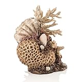 biOrb 48360 Korallen-Muschel Ornament Natural