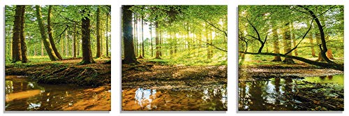 Artland Qualitätsbilder I Glasbilder Mehrteilig Wald mit Bach Deko Wandbilder Bilder 120 x 40 cm Landschaften Foto Grün D8SD