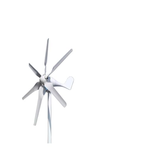 Windmühlengenerator 800 W Freie Energie 12 V 24 V Windkraftanlage for Straßenlaternen auf dem Bauernhof Mehr Energieeinsparung (Color : 12V, Size : 800w)