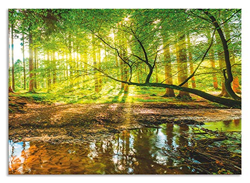 Artland Design Spritzschutz Küche I Alu Küchenrückwand Herd Landschaften Wald Fotografie Grün H8HN Wald mit Bach