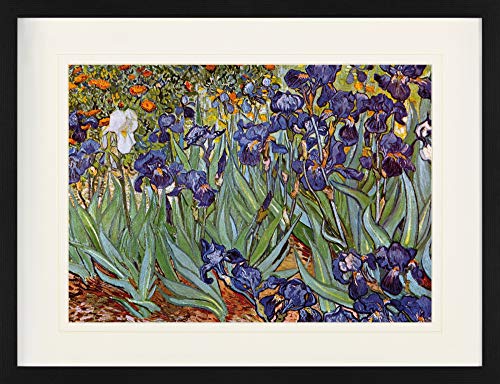 1art1 Vincent Van Gogh - Iris,1889 Gerahmtes Poster Für Fans Und Sammler 80 x 60 cm