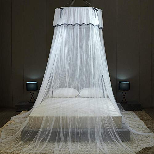 Fantasie Prinzessin Moskitonetz mit Bogen, Kuppel Bett Baldachin Netting Vorhänge zum Single zu King Size Betten Ideal für Schlafzimmer Dekorativ-Weiß