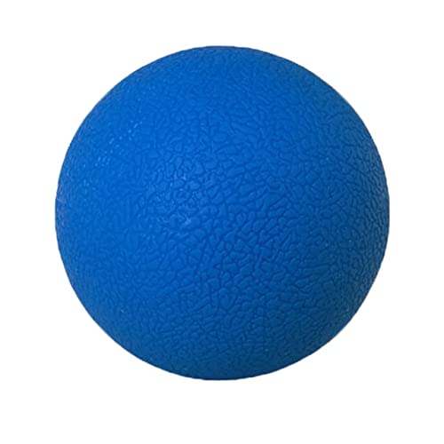 FURLOU Yoga Ball Fuß Zurück Arm Muskel Lacrosse Massage Ball Gym Fitness Yoga Ball Muskel Stress Relief Massage Werkzeuge 65 cm Yoga Ball (Size : Black)