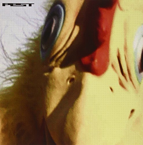 Chicken Spit [Vinyl Single]