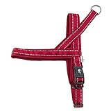 Hurtta Casual Padded Dog Harness, Lingon, 36 in