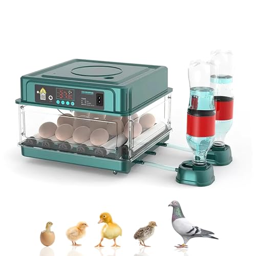 Brutautomat Vollautomatisch Brutmaschine Vollautomatisch Inkubator Hühner für 10-15 Eier, Brutkasten Hühner mit Automatischem Eierdrehen und Automatischer Wasserzugabe für Zucht von Hühnern (15 Eier)