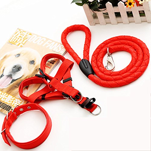 LTLCLZ Haustier Leine Halsband Halsband Hund Kette Brustgurt Mittelgroße Kleine Hund Hund Dreiteilige Seil