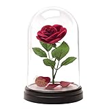 Paladone Dekolicht »Die Schöne und das Biest - Verzauberte Rose«