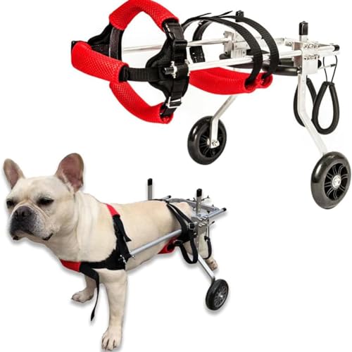 MegLob Pet -Rollstuhl, Mobilitätsroller Für Kleine Hunde Mit Lähmungslähmung Im Hintergraden, Einstellbare Behinderung Von Haustieren Für Rehabilitationstraining,S