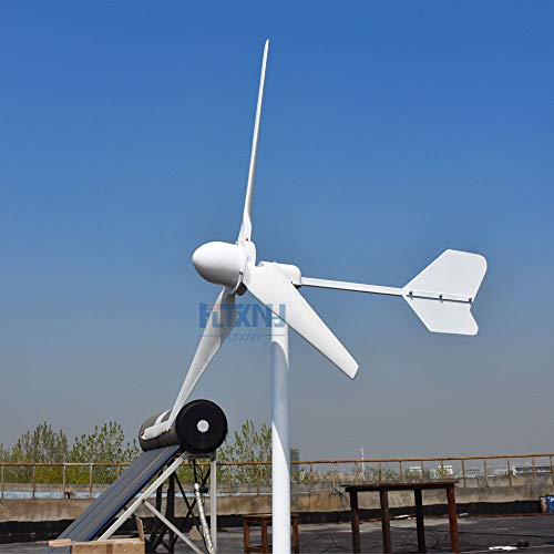 5000W Windturbine 48V 96V 220V 3-Phasen-AC-Ausgang Winkraftanlage für Stromergänzung 5 kW horizontale Windgenerator 3 Phase AC mit 3 hocheffizienten Flügeln (48V)
