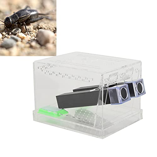 Cricket Keeper, Grillen Pflegeset, Acryl Fütterungs Cricket Stift mit Futter und Wasser Futterwanne, Insekten Kakerlaken Pflege Reptil Tank Box, für Heimbüro Cricket Fütterung(L)