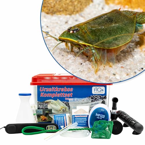 Triops australiensis Ayers Rock (grün) Premium Komplettset 6L mit LED, Filterung. Heizung, Zuchtansatz, Zubehör