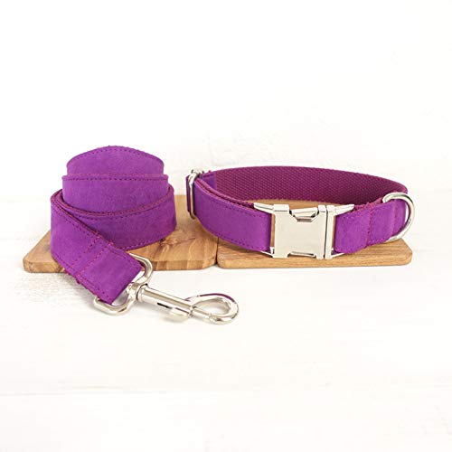 Gulunmun Klassische Halsbänder Pet Produkte Unabhängig Entworfen Metalllegierung Schnalle Hundehalsband + Traktion Lila, Xs, 2.0 * 110Cm