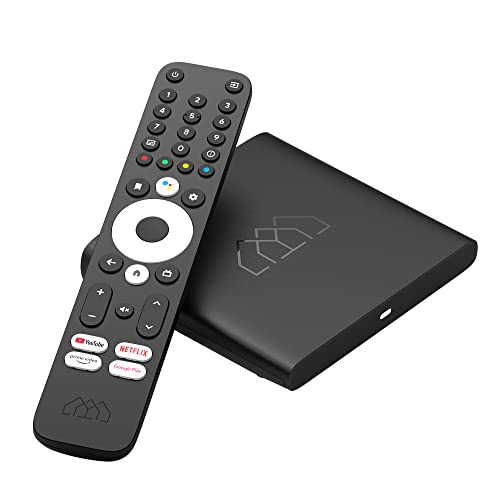 HOMATICS BoxQ S (4K AndroidTV, DVB-S2, LAN, Dual WiFi, BT 5.0, USB, MicroSD, Netflix, Prime Video) Black