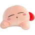 Kirby schlafend