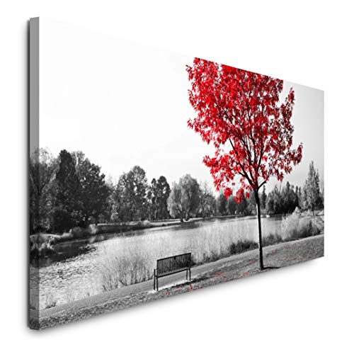 Paul Sinus Art GmbH Parkbank unter Einem Baum 120x 50cm Panorama Leinwand Bild XXL Format Wandbilder Wohnzimmer Wohnung Deko Kunstdrucke