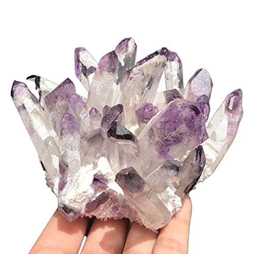 AMAZWI Heimdekoration 300–600 g natürlicher Teekristall-Stein, Teekristall-Cluster, lila, Klassische Dekorationskristalle ZUOSHUAAYIN (Size : 500-600g)