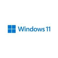 Microsoft Windows 11 Pro ESD Download