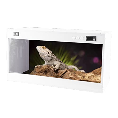Pet Reptile Box PVC-Insektenfütterung Acryl-Terrarium Für Spinnen-Eidechsen-Frosch-Skorpion, Tragbares Kriechendes Haustier-Reptil-Lebensraum (Size : 40x30x30cm)