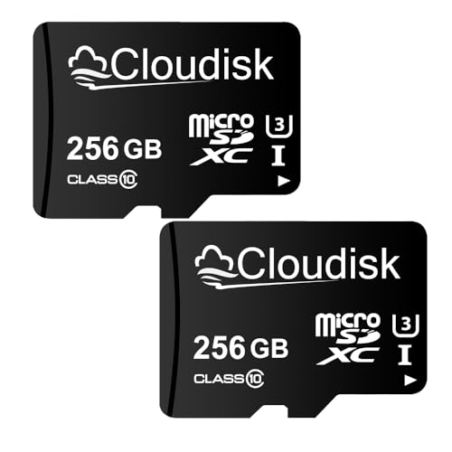 Cloudisk 2 x Micro-SD-Karte, MicroSD-Karte, Speicherkarte (256 GB)