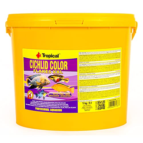 Tropical Cichlid Color Flakes - farbverstärkendes Flockenfutter mit Beta-Glucan, 1er Pack (1 x 5 l)