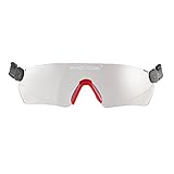 Protos integrale Schutzbrille für Helmsystem, Farbe:klar
