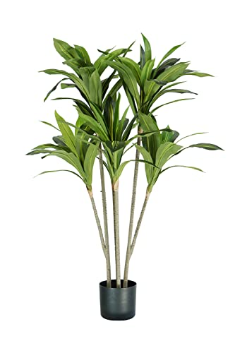 Pflanze DRACAENA H. 130 cm 88 Blätter