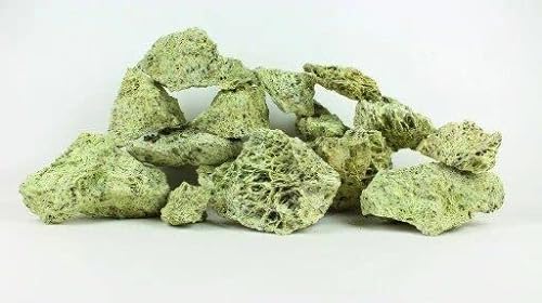 WYSKONT Dolomit-Steine für Aquarium – natürliche Dekoration für Aquarien – Marine-Ziersteine – geeignet für Malawi- und Tanganyika-Biotypen – stabilisieren pH-Wert – 5 kg Spaghettigrün