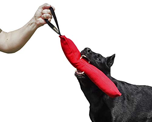 Dingo Gear Baumwolle-Nylon Beißwurst für Hundetraining K9 IGP IPO Obiedence Schutzhund Hundesport, mit Einem Griff 8 x 45 cm Red S00065