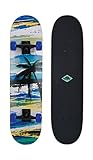 Schildkröt® Skateboard Slider 31" Aloha