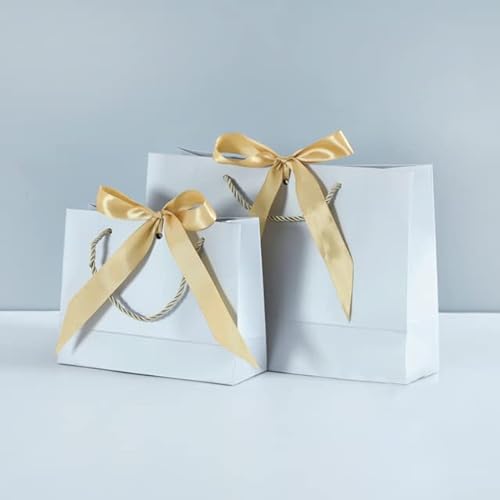 10 STÜCKE Papiertüte für Geschenk mit Band Shopping Bekleidungsgeschäft Bastelpapiertüte Versandverpackung (Druckgebühr ist nicht enthalten) - 28 x 20 x 10 cm, 10 Stück, Silber