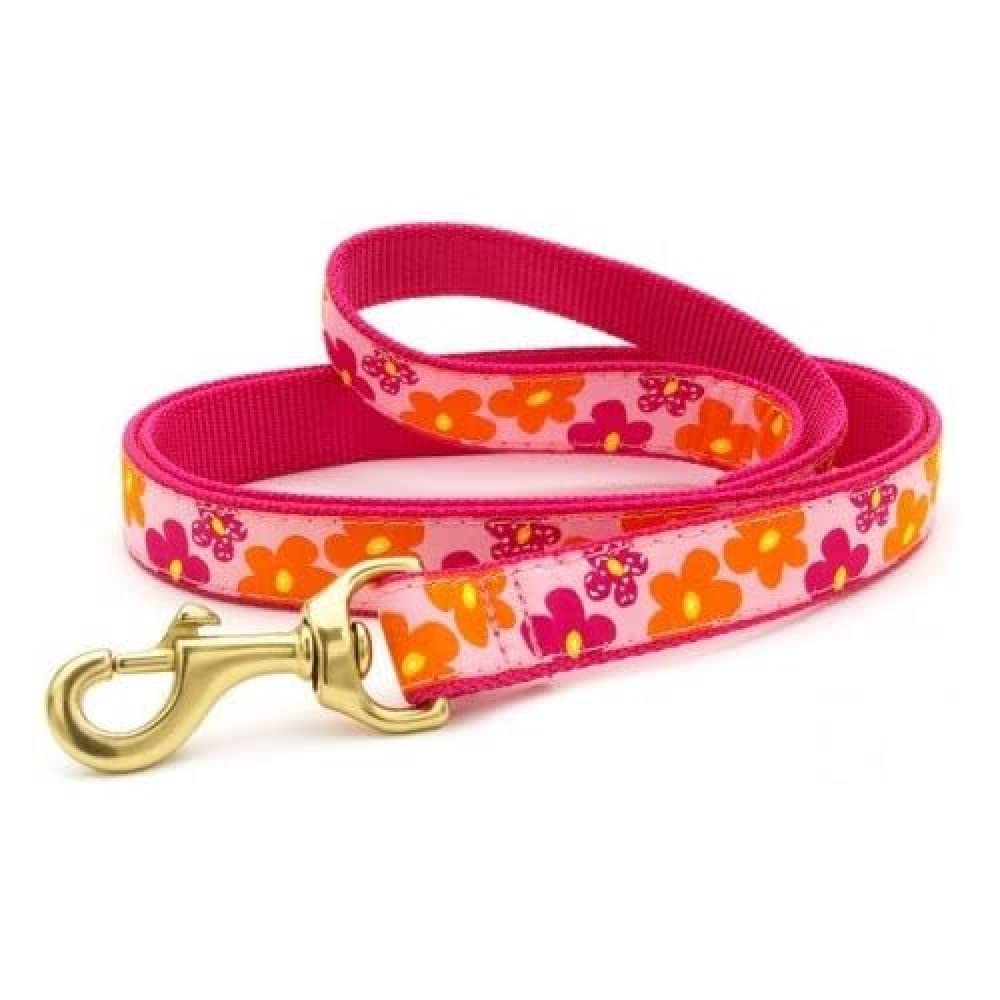 Up Country FLO-L-W Flower Power Hundeleine, Breit 1 inch