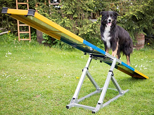 Hunde Profi Agility Turnier Wippe FCI konform