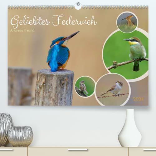 Geliebtes Federvieh (hochwertiger Premium Wandkalender 2024 DIN A2 quer), Kunstdruck in Hochglanz