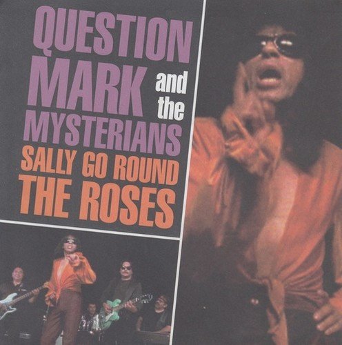 Sally Go Round the Roses / It's Not Easy [Vinyl Single]