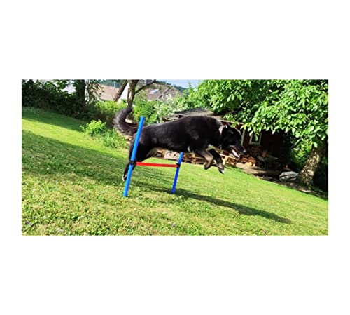 Hunde Agility Sprungstange Set 1/2 / 4 Sets Tragetasche Hundesport Dog Activity Obstacle Pole Höhenverstellbar Hindernis Parcours Hundetraining Bewegung Kunststoffstangen mit Erdspieß (2 Sets)