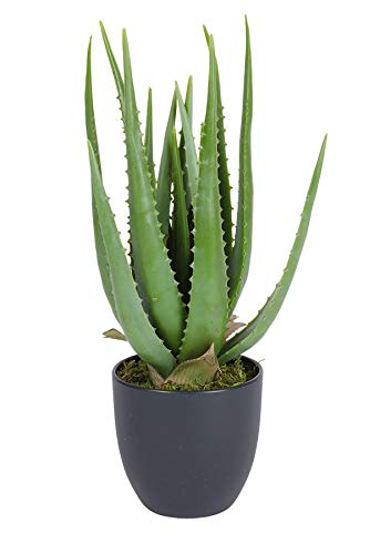 Spetebo Aloe Vera Kunstpflanze im Topf - 45 cm - Deko Pflanze Zimmerpflanze künstlich