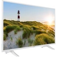 Telefunken XF43K550-W 43 Zoll Fernseher / Smart TV (Full HD, HDR, Triple-Tuner) - 6 Monate HD+ inklusive [2022] [Energieklasse E]