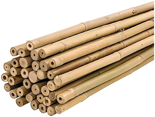 PLANTAWA Bambus-Tutoren, Bambus-Tutoren Ø 6-8 mm, Packung 25 Stück, landwirtschaftliche Verwendung zum Befestigen von Pflanzen, Gemüse und Bäumen (150 cm)