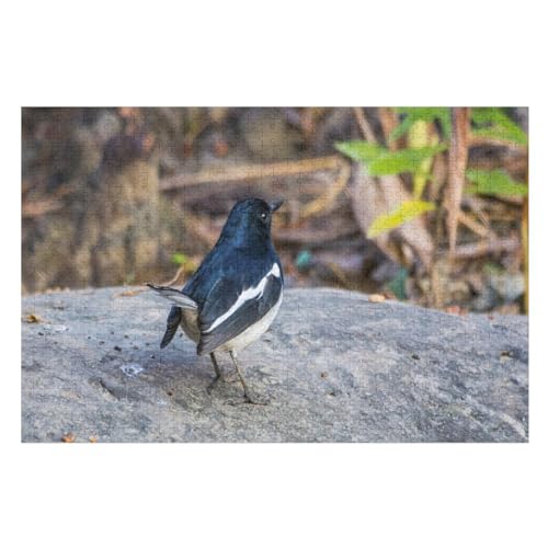 One Bird, Black and White Feather, Stone ，Puzzle für Erwachsene und Kinder ab 14 Jahren, 1000 StüCk，，Lernspielzeug FüR Kinder 52x38Papier