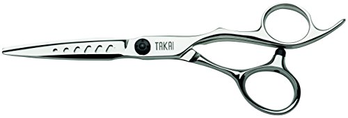 Takai Haarschneide-Schere Summum Ergo 55, Rechtshand, Größe 5,5 Zoll
