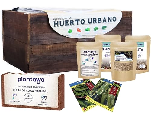 PLANTAWA Pfefferpflanzen-Set, komplettes Kulturpflanzen-Set für städtischen Gemüsegarten, Pflanzkasten für Zuhause, Kultur-Set für natürliche Pfefferpflanzen